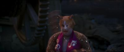 Don't mess with the crazy cat lady - Cats