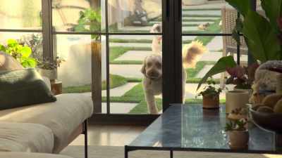 -Don't mind my dogs. Sorry.
-[Alexia laughing] - Buying Beverly Hills