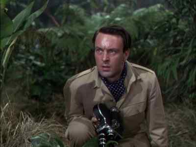 Don't move back. - Mogambo