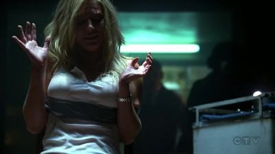 Don't move! Don't move! Guns down! - CSI: Crime Scene Investigation