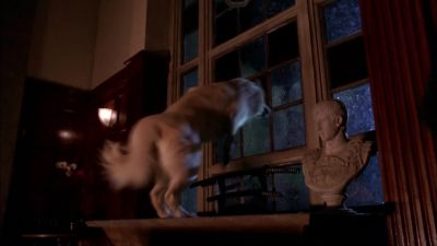 - Don't move!
- No, no, don't shoot! - Smallville