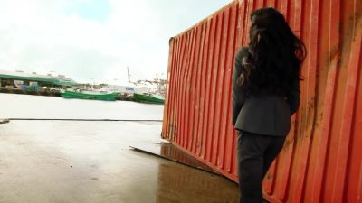 Don't move. - Hawaii Five-O