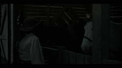 Don't need a saddle,
just get the horses. - Lawmen: Bass Reeves