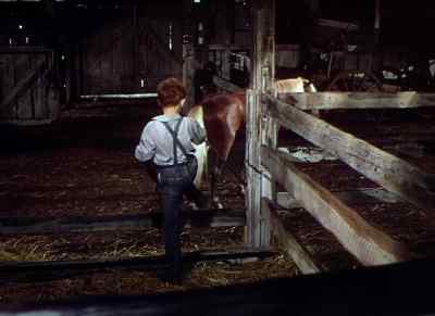Don't open the door,
Billy. - The Red Pony