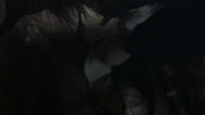 Don't open the window
in the morning or at night. - Ayka