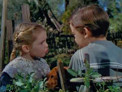 Don't you pay no 'tenshun to them. - Song of the South