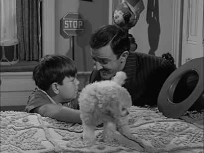 Don't you realize that all
he's going to grow up to be is a dog? - The Addams Family
