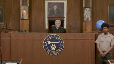 Don't say what you're
not going to do - Gary Busey: Pet Judge