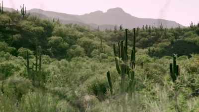 Don't say you're sorry! - When Nature Calls with Helen Mirren