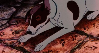 Don't you see - The Plague Dogs