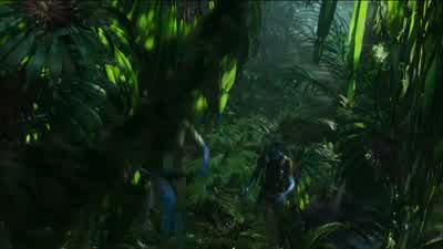 Don't shoot. - Avatar