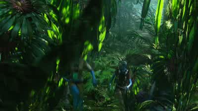 Don't shoot. - Avatar