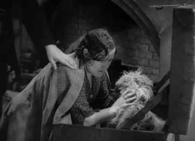 Don't take on, Honoria,
it cannot be helped! - Storm in a Teacup
