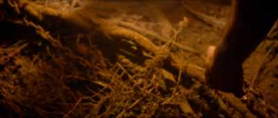 Don't even think about it.
We can't break protocol. - Tumbbad