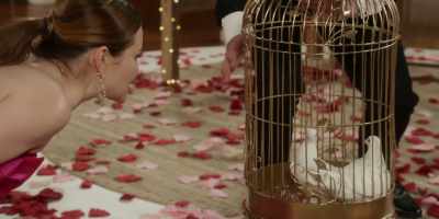 - Don't touch 'em.
- The love birds, - Class of '07