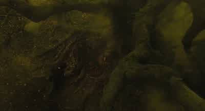 Don't touch it. - The Gorge