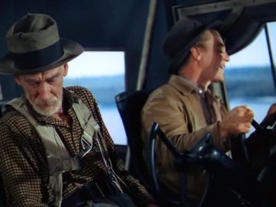 Don't try to fly through the woods Fly over them - Captains of the Clouds