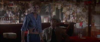 Don't you wanna hear music - Electra Glide in Blue