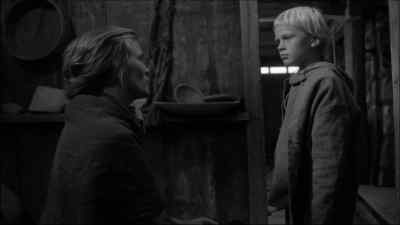 Don't what? - The Juniper Tree