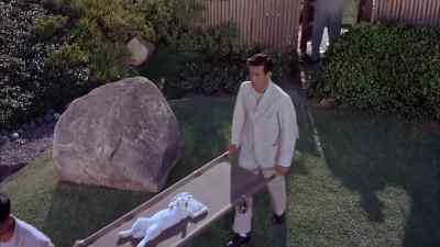 Don't worry about me, Mits. - The Geisha Boy