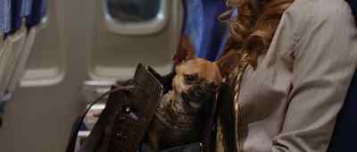 Don't worry Mary Kate - Snakes on a Plane