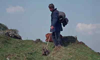 Don't worry, Mij,
it's just a wee walk. Come on. - Ring of Bright Water