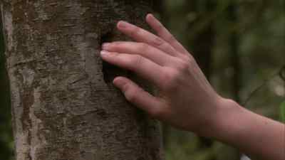 Don't worry.
There's no such thing
as ghosts. - Kyle XY
