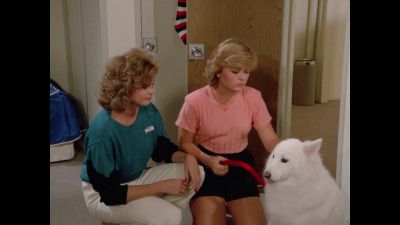 Don't worry, tundra. - The Love Boat