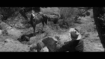 Don't worry, Whisky, I'm
not going anywhere just yet. - Lonely Are the Brave
