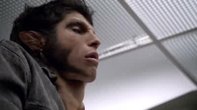 Don't you realize what you're dealing with? - Teen Wolf