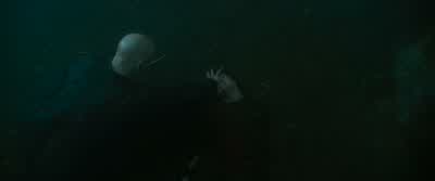Don't you turn your back on me, Harry Potter! - Harry Potter and the Goblet of Fire