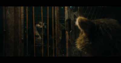 (DOOR BEEPS) - Guardians of the Galaxy Vol. 3