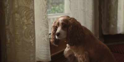 (DOOR CLOSES) - Lady and the Tramp