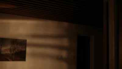 (DOOR CLOSES) - Wallander
