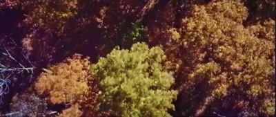 (door closing) - Deep Woods