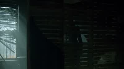 Barbara? - Gotham