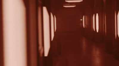 Door! Door! - The Ark