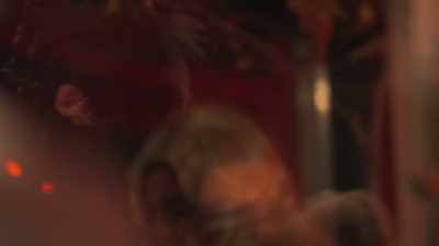 (door knob clatters)
(door creaks) - 1962 Halloween Massacre