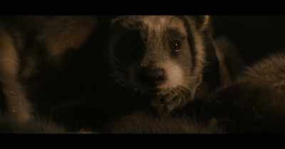 -(DOOR OPENS)
-(CHITTERING STOPS) - Guardians of the Galaxy Vol. 3