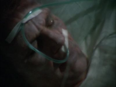 [ DOOR OPENS, CLOSES ] - Hawaii Five-0