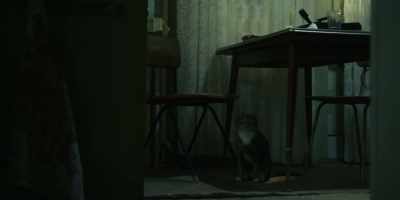 (door opens, closes) - Chernobyl