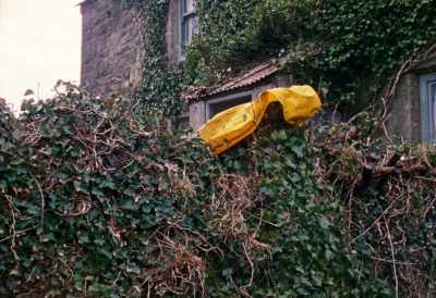 [Door opens] - Enys Men