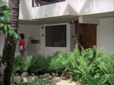[ DOOR UNLOCKING ] - Hawaii Five-O