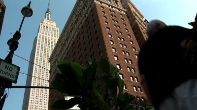 [Doorbell rings] - White Collar