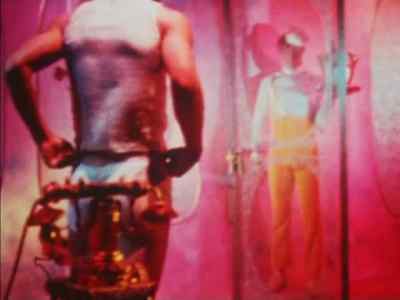 (Doorbell) - Pink Narcissus