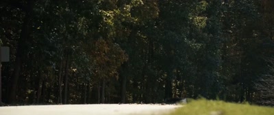 (doorbells tinkling) - Deep Woods