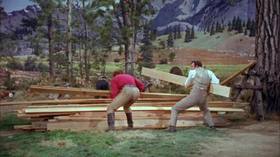 Dorcas Come back You'll get hurt - Seven Brides for Seven Brothers