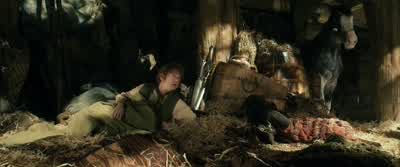 DORI: Don't blame me! - The Hobbit: The Desolation of Smaug