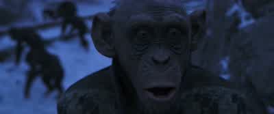 Down! Down! Down! Get down! - War for the Planet of the Apes