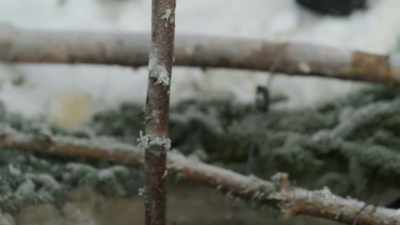 Down goes the bait,
down goes the bait. - Life Below Zero: First Alaskans
